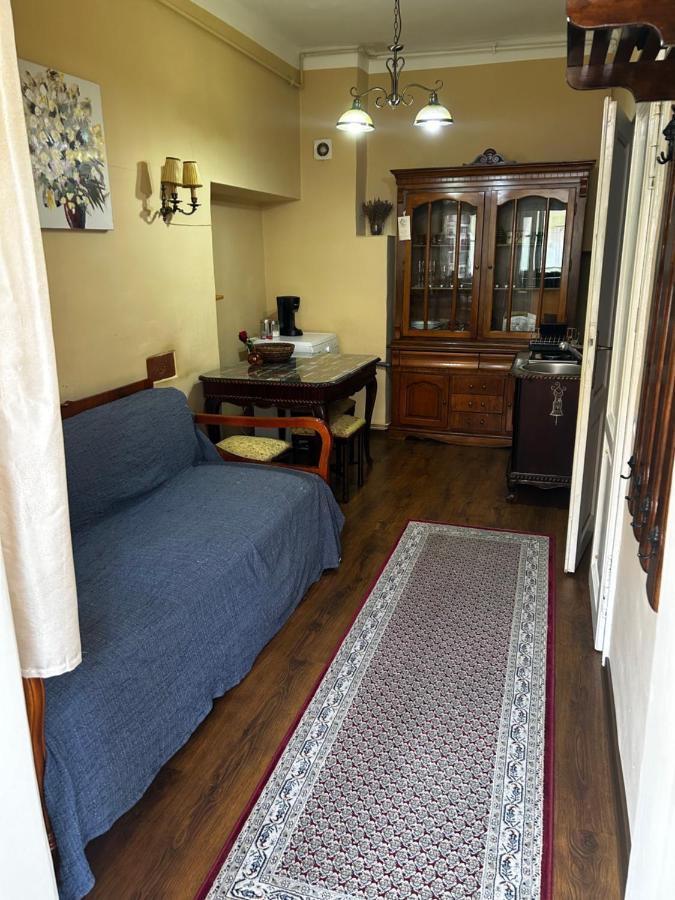 Appartement Dominic Studio à Sibiu Extérieur photo